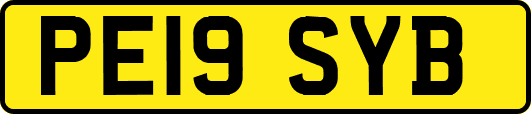 PE19SYB