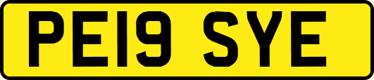 PE19SYE