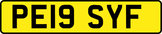 PE19SYF