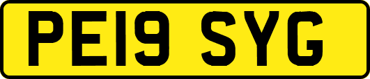 PE19SYG