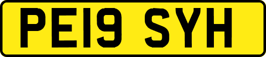PE19SYH