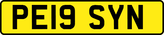 PE19SYN