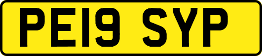 PE19SYP