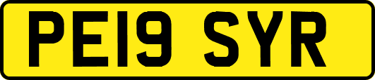 PE19SYR