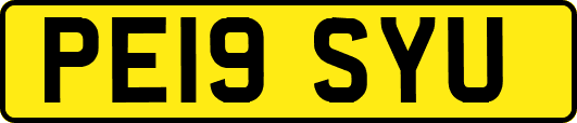 PE19SYU