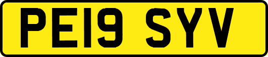 PE19SYV