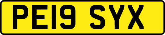 PE19SYX