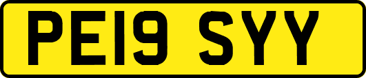PE19SYY