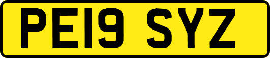 PE19SYZ