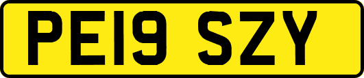 PE19SZY