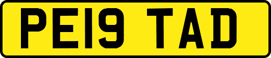 PE19TAD