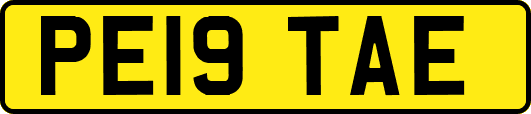 PE19TAE