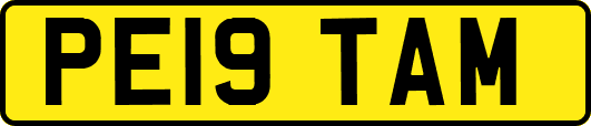 PE19TAM