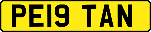 PE19TAN