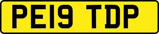 PE19TDP