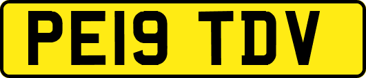 PE19TDV