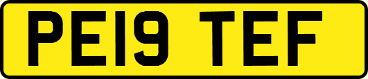 PE19TEF