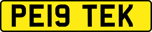 PE19TEK