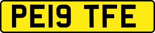 PE19TFE
