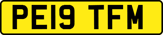 PE19TFM