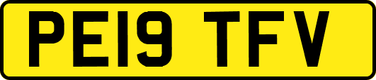 PE19TFV