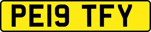 PE19TFY