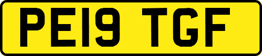 PE19TGF