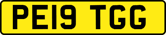 PE19TGG