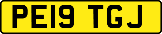 PE19TGJ