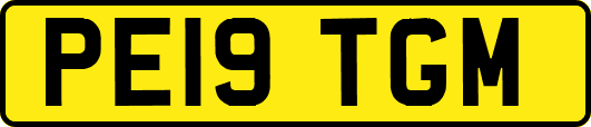 PE19TGM