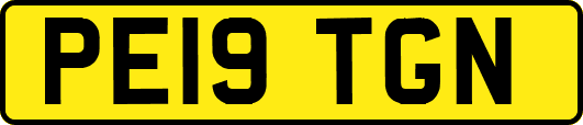 PE19TGN
