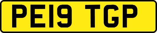 PE19TGP