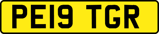 PE19TGR