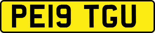 PE19TGU