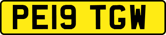 PE19TGW