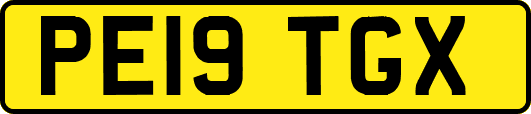 PE19TGX