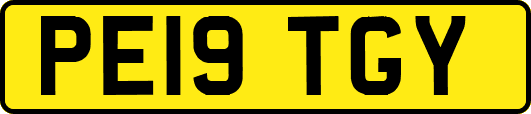 PE19TGY
