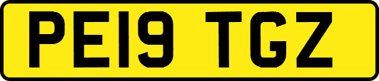 PE19TGZ