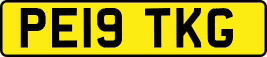 PE19TKG