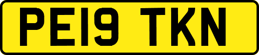PE19TKN