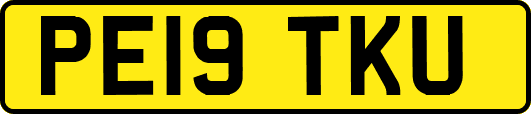 PE19TKU
