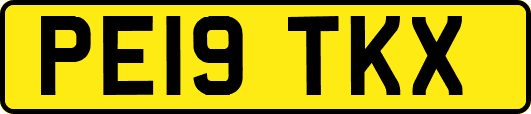 PE19TKX