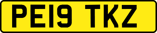 PE19TKZ