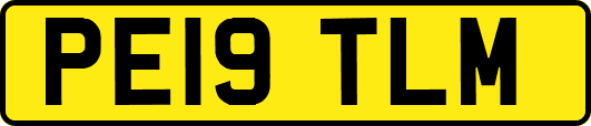 PE19TLM