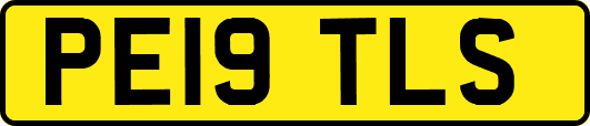 PE19TLS