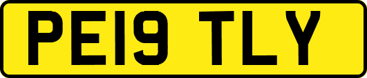 PE19TLY