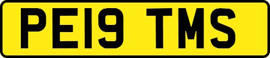 PE19TMS