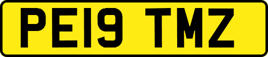 PE19TMZ