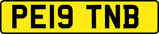 PE19TNB