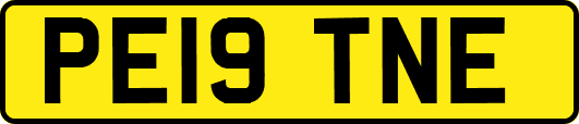 PE19TNE